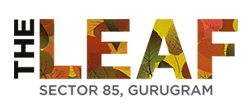 SS The Leaf Logo
