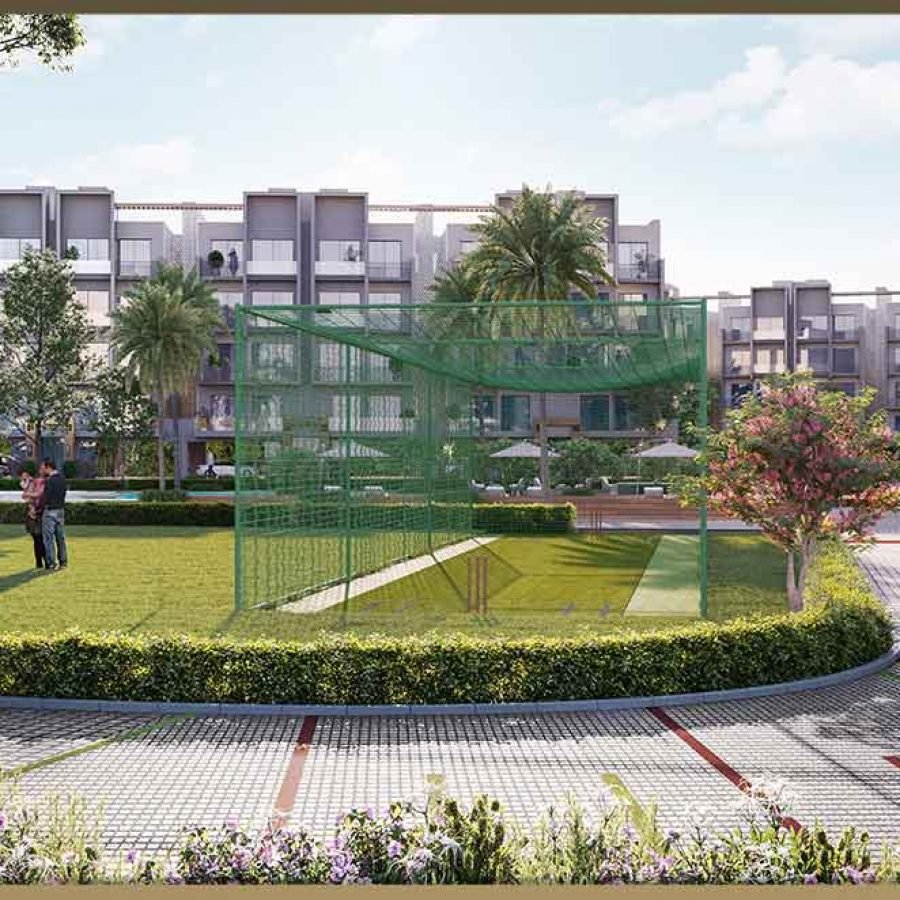 Smart World Orchard Cricket-Pitch